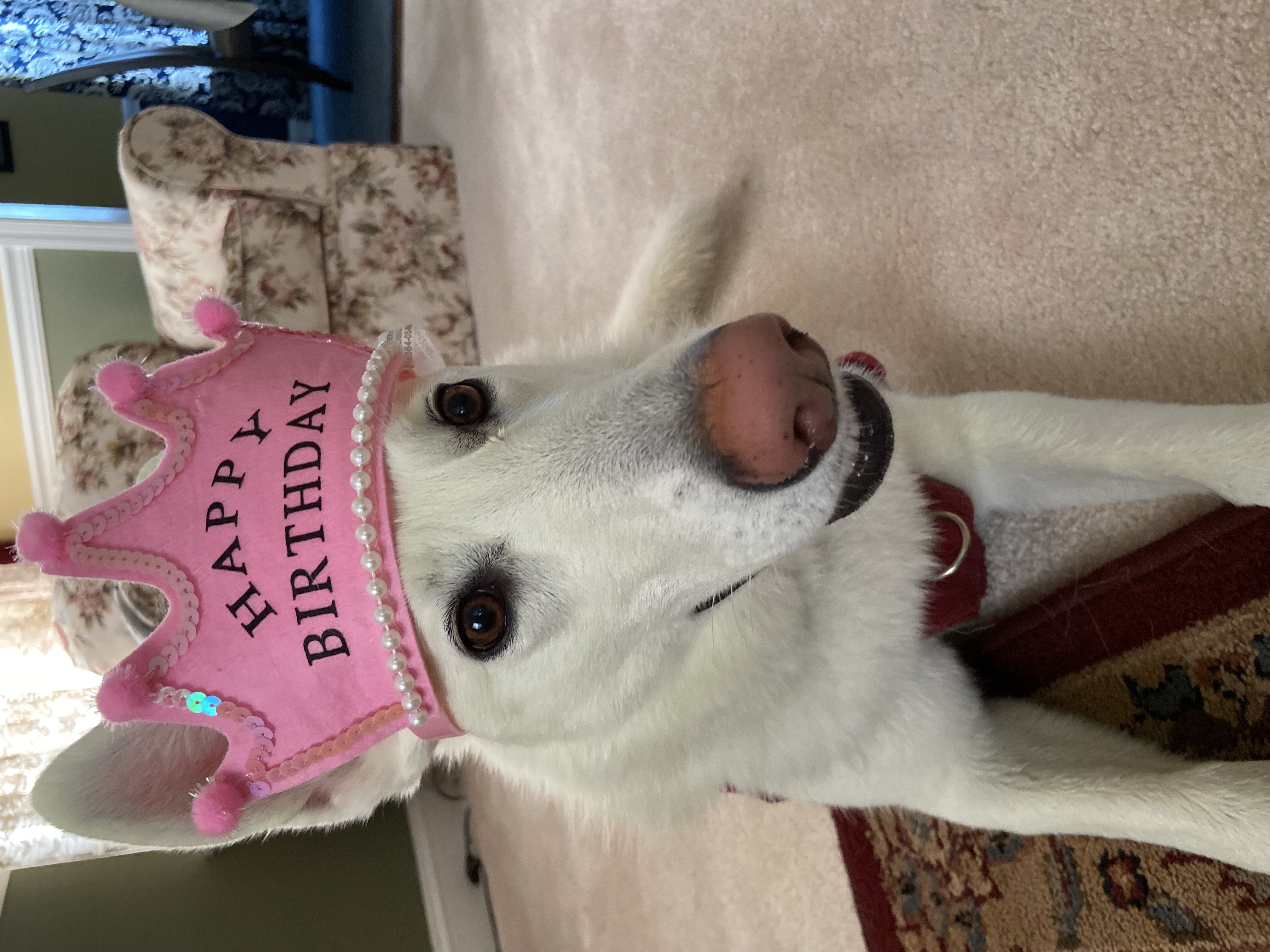 Ella wearing a birthday hat beside her cake