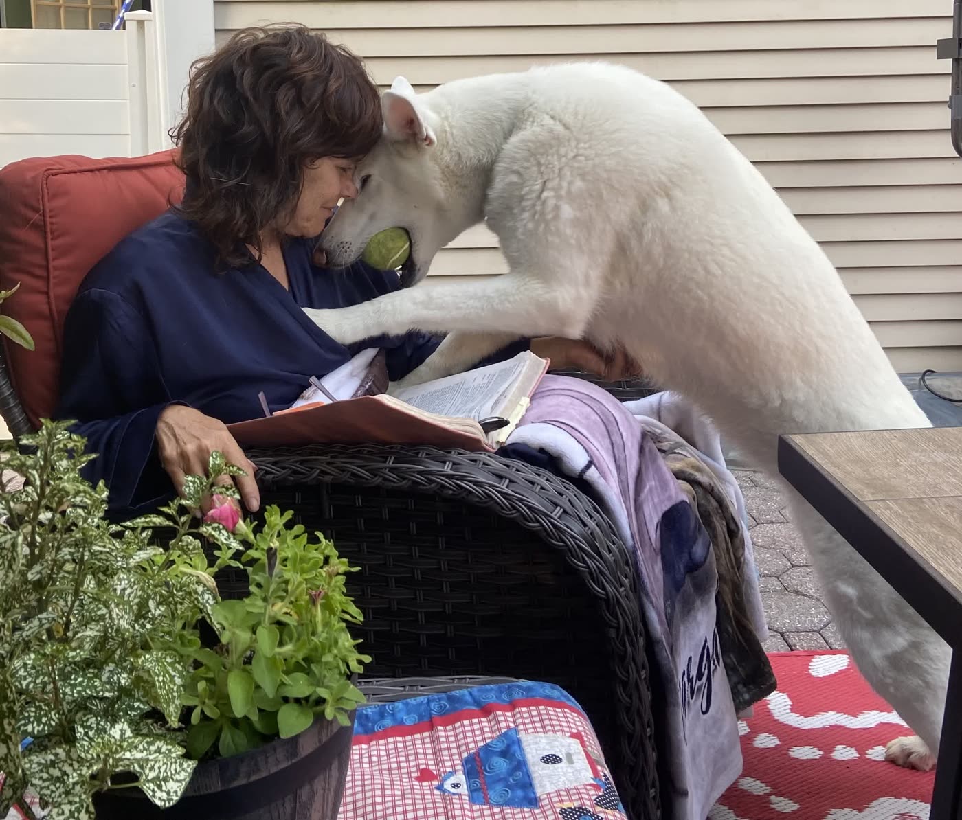 Margaret writing in her journal on the patio while Ella leans in over her shoulder with a tennis ball in her mouth