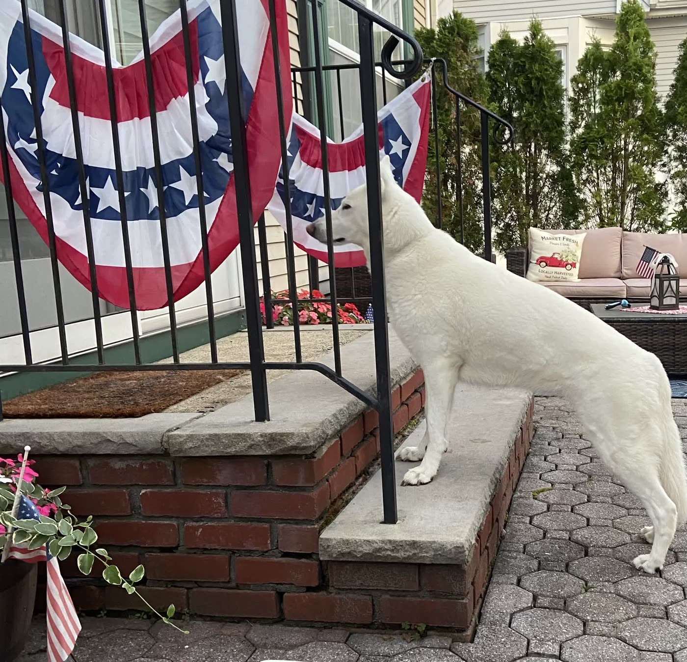 Ella standing on the front steps beside red, white and blue bunting